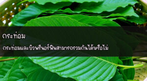 กระท่อม